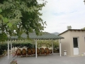 Apartmani Filipos Lux Stavros, Vila Filipos (7)