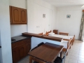 kalimera gregori kavos leto za mlade (5)
