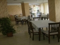 Palma-3