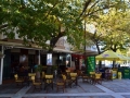 vila-alexandros-asprovalta-letovanje-apartamni-aleksandros-agencija-dream-tours (2)
