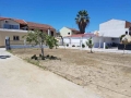 Vila Blue Sea Kavos leto za mlade (2)