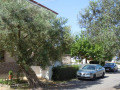 Vila-Fotis-Skala-Furka-Grcka-9