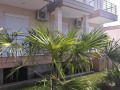 Vila-Kostas-Stavros-2