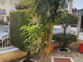 Vila-Matula-1-Leptokarija-Grcka-5