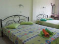 Vila-Nikos-Rooms-Nea-Vrasna-8