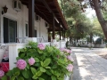 Vila Olga Toroni Sitonija ponuda Apartmana (5)