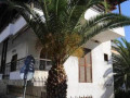 Vila-Tzina-Neos-Marmaras-Grcka-2